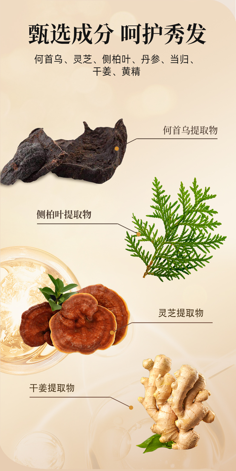 何首乌灵芝草本头发保健液
