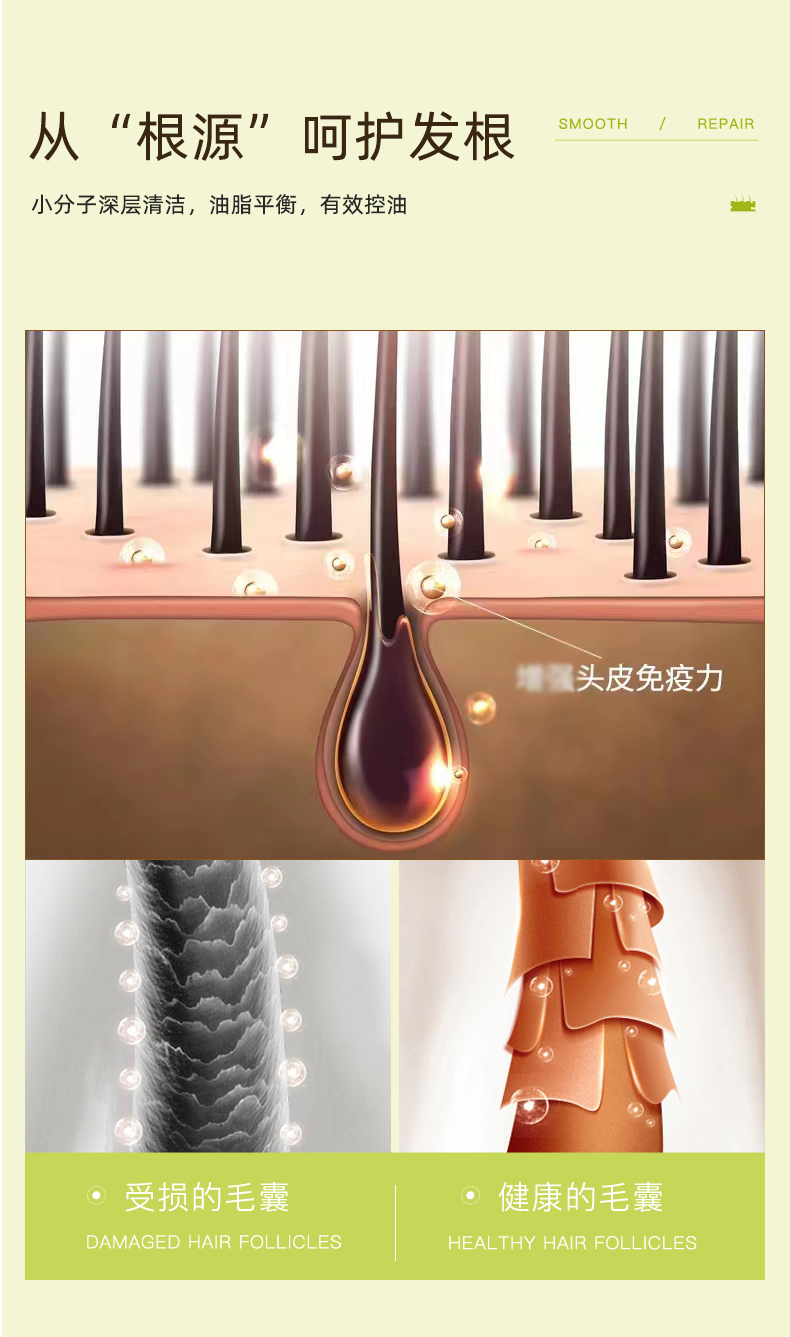 山茶籽养护洗发保健膏