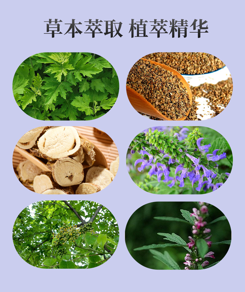 拉线丸