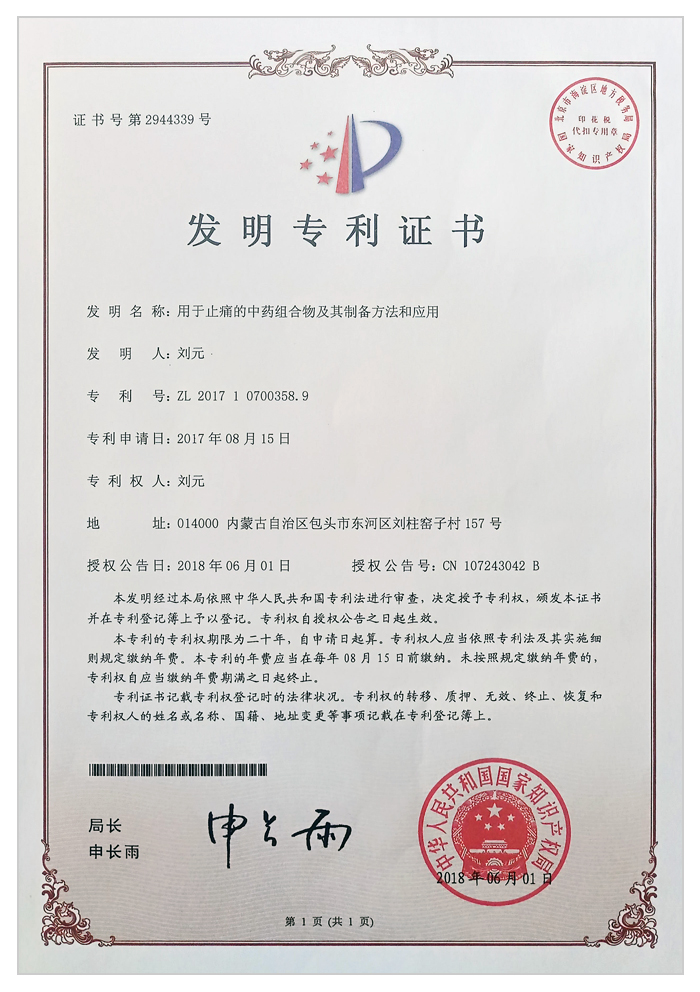 用于止痛的中药组合物及其制备方法和应用